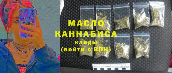 индика Абдулино
