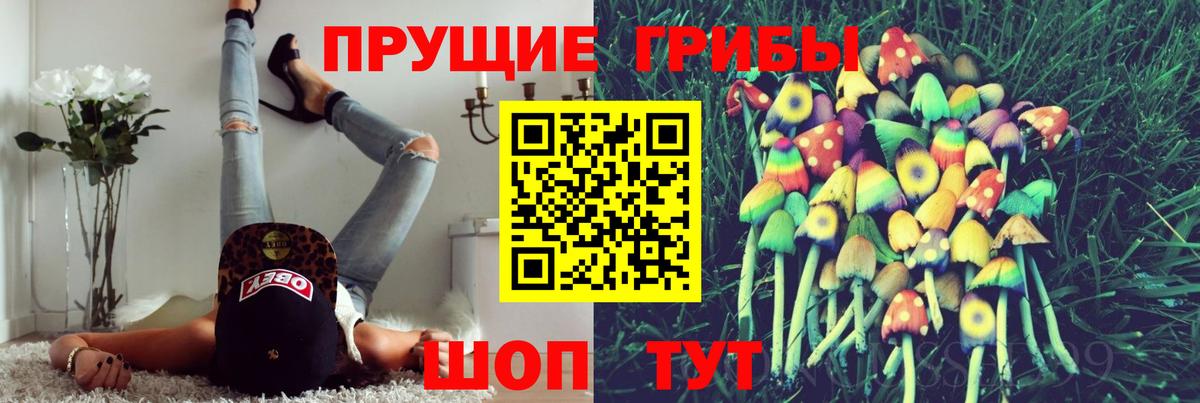 Галлюциногенные грибы Magic Shrooms Новокузнецк